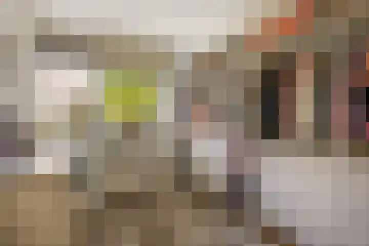 Kadoelerbos 24 Zoetermeer thumbnail 28