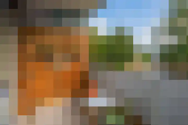 Kadoelerbos 24 Zoetermeer thumbnail 4