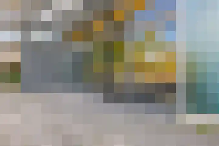 Kadoelerbos 24 Zoetermeer thumbnail 6