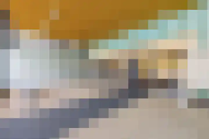 Kadoelerbos 24 Zoetermeer thumbnail 7