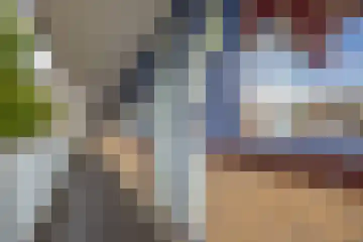 Kadoelerbos 24 Zoetermeer thumbnail 8