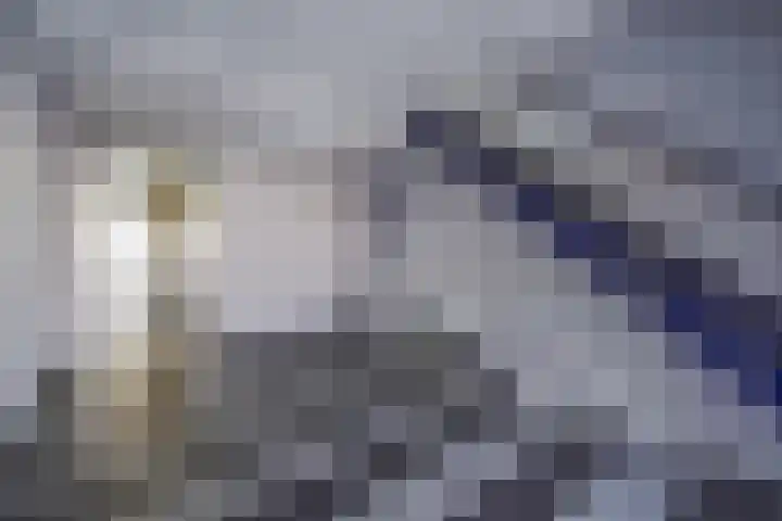 Kadoelerbos 31 Zoetermeer thumbnail 12