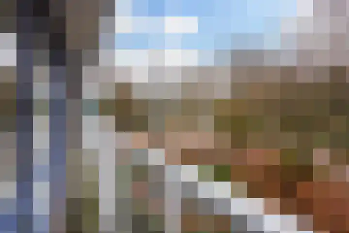 Kadoelerbos 31 Zoetermeer thumbnail 15