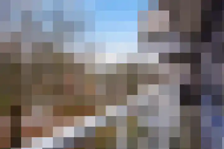 Kadoelerbos 31 Zoetermeer thumbnail 16