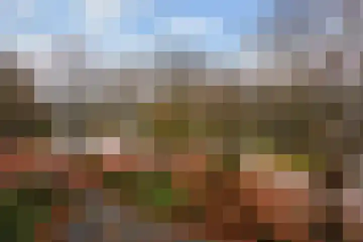 Kadoelerbos 31 Zoetermeer thumbnail 17