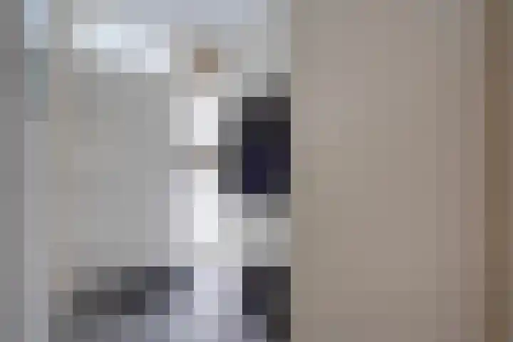 Kadoelerbos 31 Zoetermeer thumbnail 19