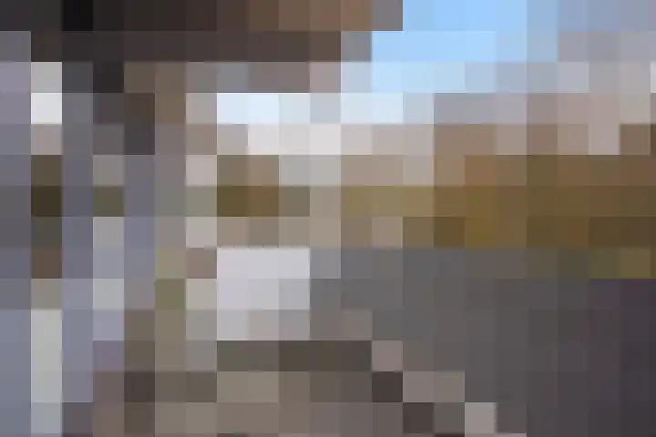 Kadoelerbos 31 Zoetermeer thumbnail 45