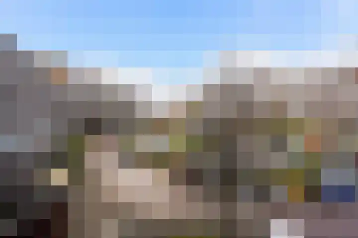 Kadoelerbos 31 Zoetermeer thumbnail 48