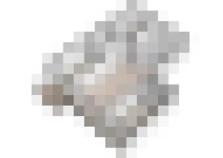 Kadoelerbos 31 Zoetermeer thumbnail 50