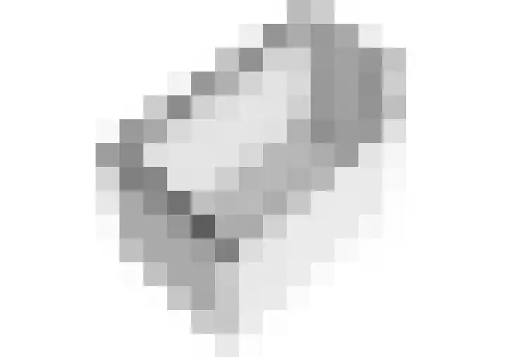 Kadoelerbos 31 Zoetermeer thumbnail 52