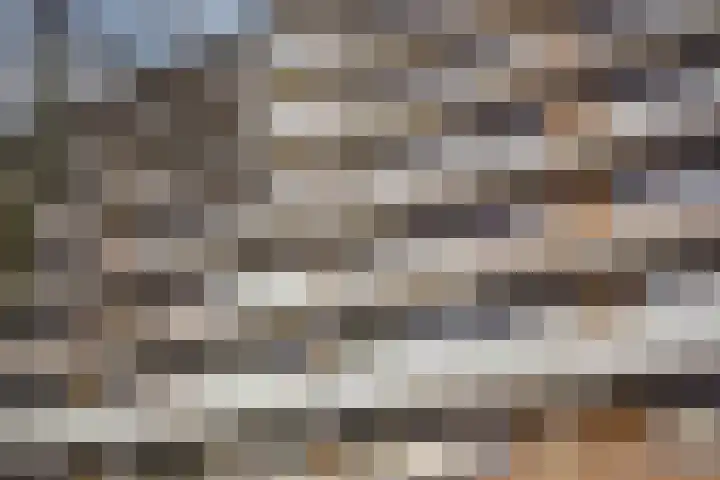 Kadoelerbos 31 Zoetermeer thumbnail 6