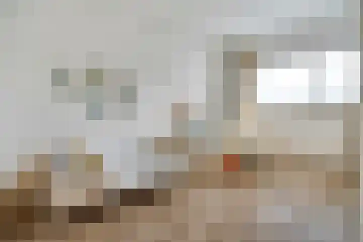 Kadoelerbos 37 Zoetermeer thumbnail 17