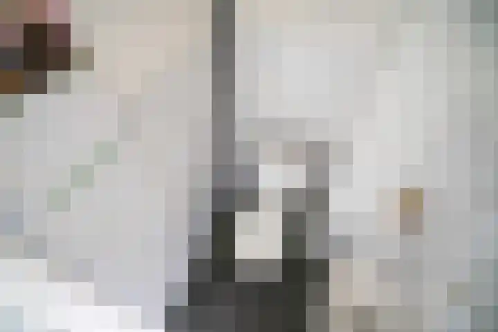 Kadoelerbos 37 Zoetermeer thumbnail 20