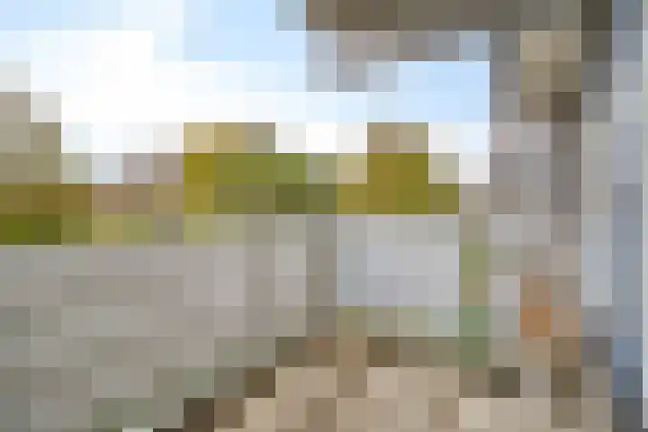 Kadoelerbos 37 Zoetermeer thumbnail 25
