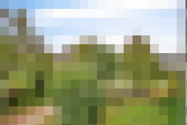 Kadoelerbos 37 Zoetermeer thumbnail 26