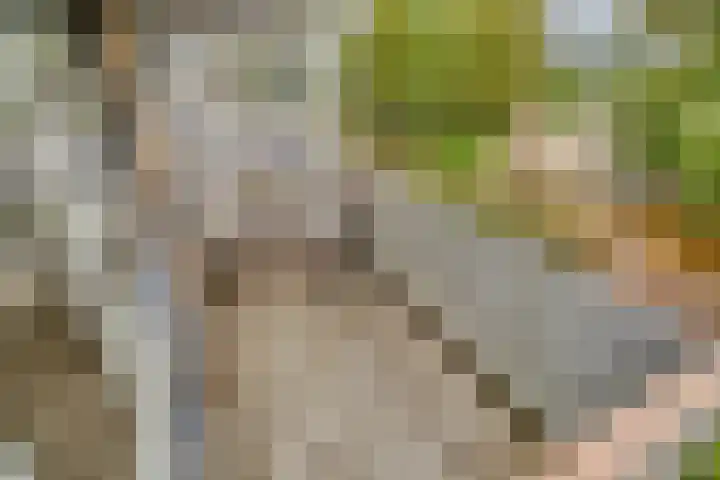 Kadoelerbos 37 Zoetermeer thumbnail 27