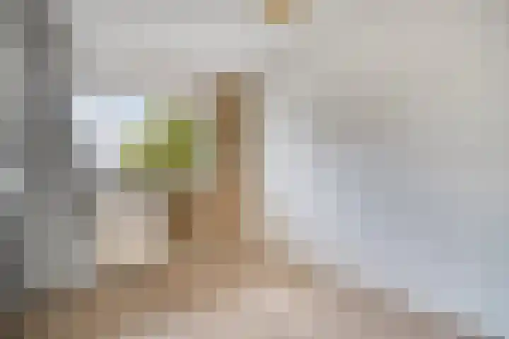 Kadoelerbos 37 Zoetermeer thumbnail 30
