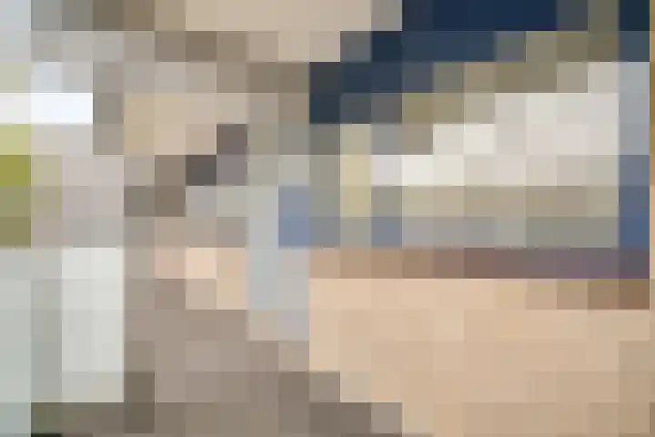 Kadoelerbos 37 Zoetermeer thumbnail 35