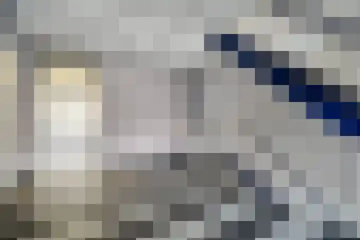 Kadoelerbos 37 Zoetermeer thumbnail 37
