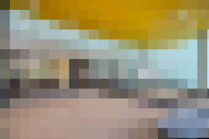 Kadoelerbos 37 Zoetermeer thumbnail 38