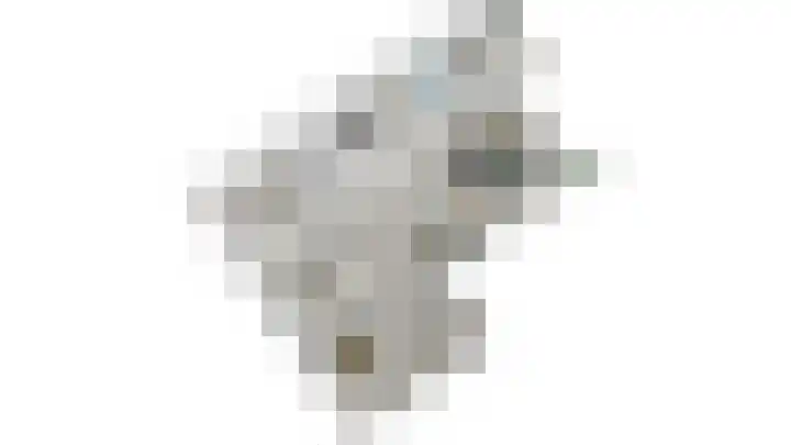 Kadoelerbos 37 Zoetermeer thumbnail 42