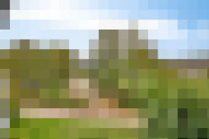Kadoelerbos 37 Zoetermeer thumbnail 6