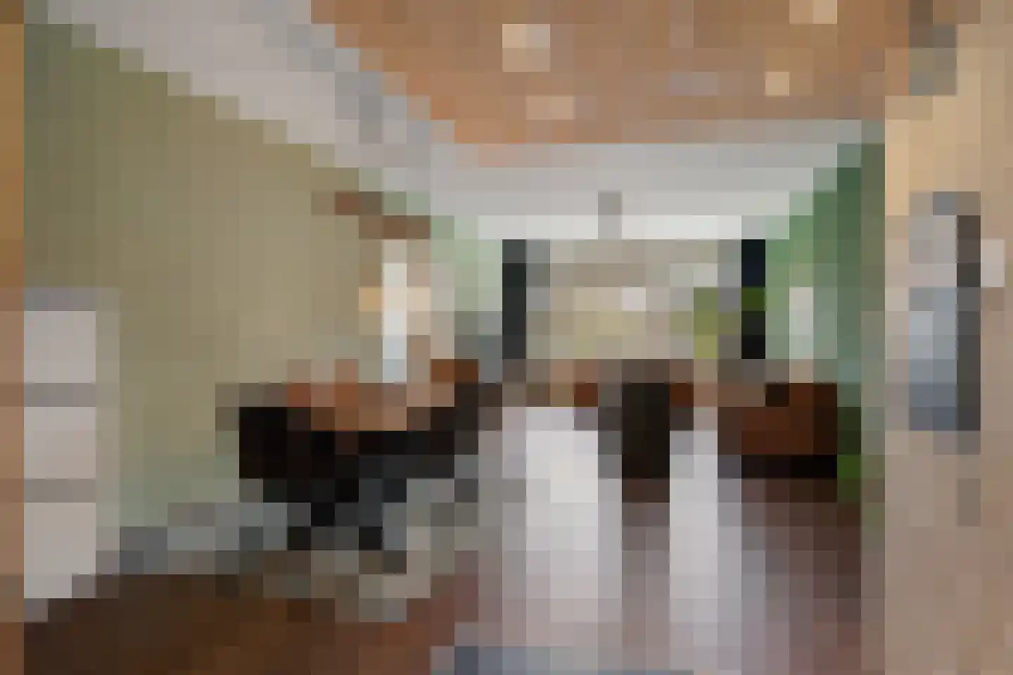 Kadoelerbos 38 Zoetermeer thumbnail 17
