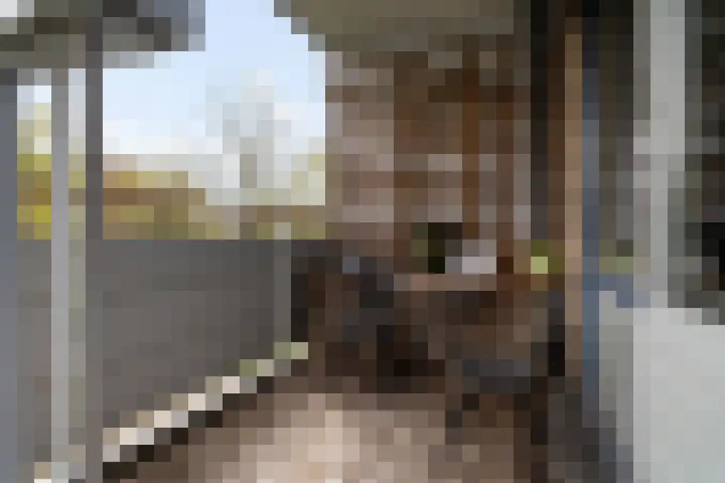 Kadoelerbos 38 Zoetermeer thumbnail 31