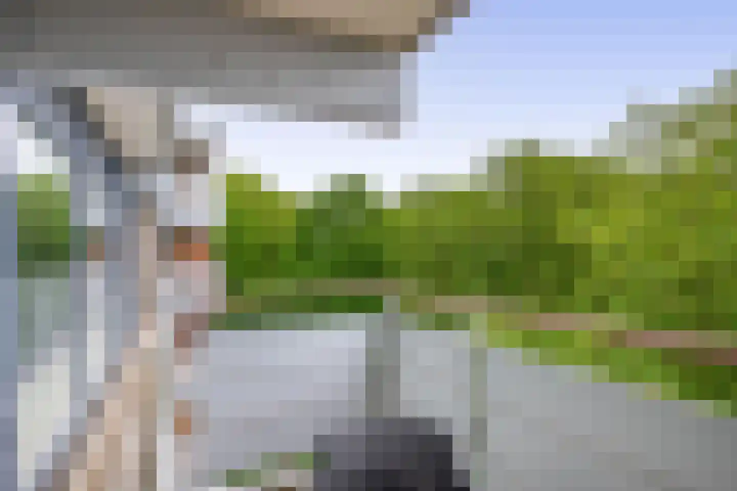 Kadoelerbos 57 Zoetermeer thumbnail 20