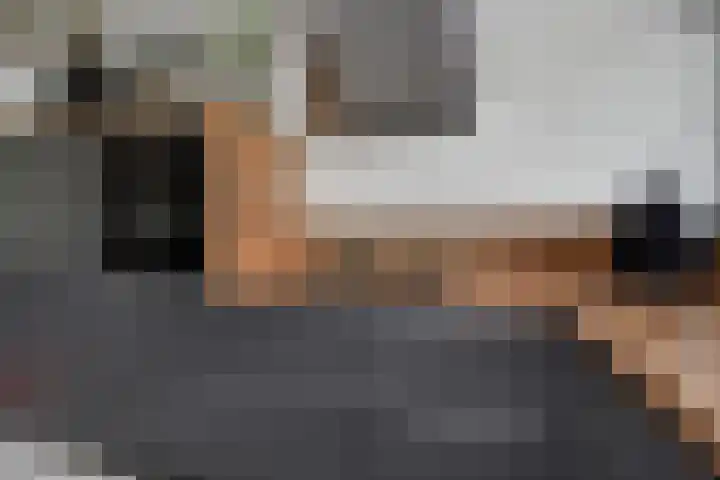 Kadoelerbos 68 Zoetermeer thumbnail 18