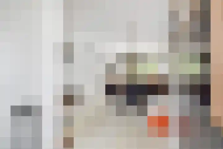 Kadoelerbos 68 Zoetermeer thumbnail 20