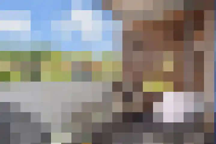 Kadoelerbos 68 Zoetermeer thumbnail 28