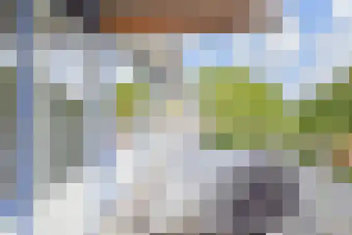 Kadoelerbos 68 Zoetermeer thumbnail 30