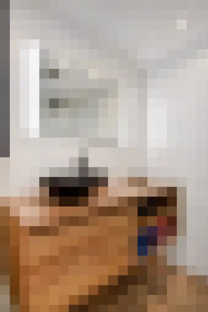 Kadoelerbos 68 Zoetermeer thumbnail 32