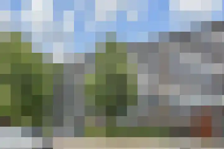 Kadoelerbos 68 Zoetermeer thumbnail 5