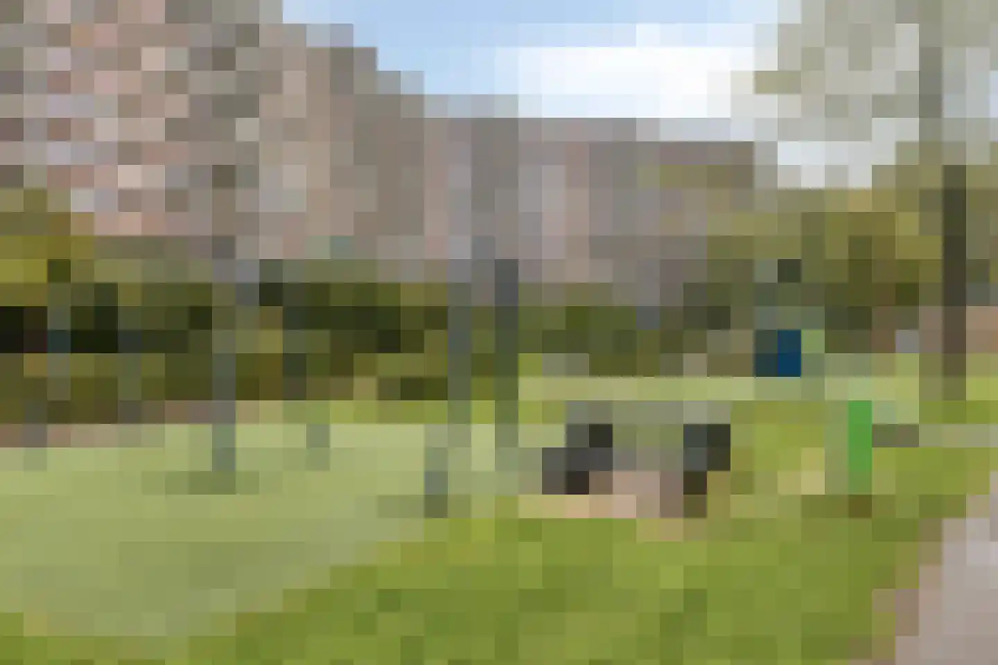 Kadoelerbos 75 Zoetermeer thumbnail 25