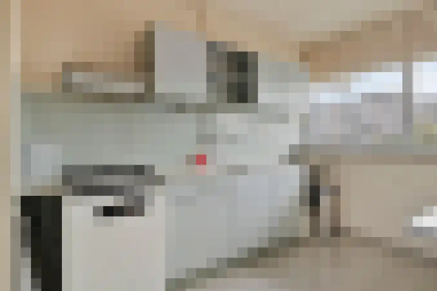 Kadoelerbos 75 Zoetermeer thumbnail 9