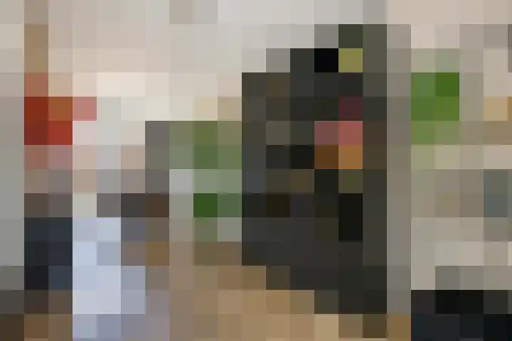 Kadoelermeer 41 Rotterdam thumbnail 10