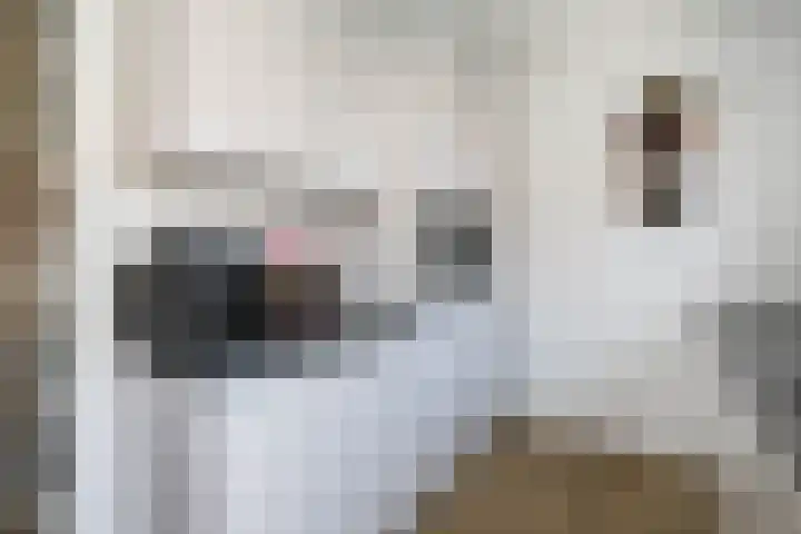 Kadoelermeer 41 Rotterdam thumbnail 15