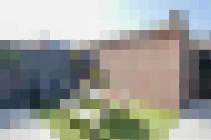 Kadoelermeer 41 Rotterdam thumbnail 37