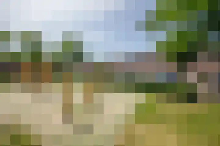 Kadoelermeer 41 Rotterdam thumbnail 48