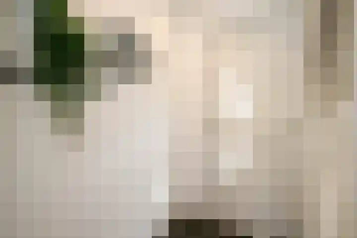 Kadoelermeer 41 Rotterdam thumbnail 6