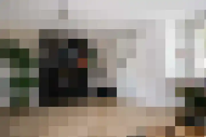 Kadoelermeer 41 Rotterdam thumbnail 7