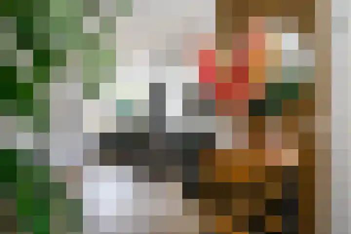 Kadoelermeer 41 Rotterdam thumbnail 8