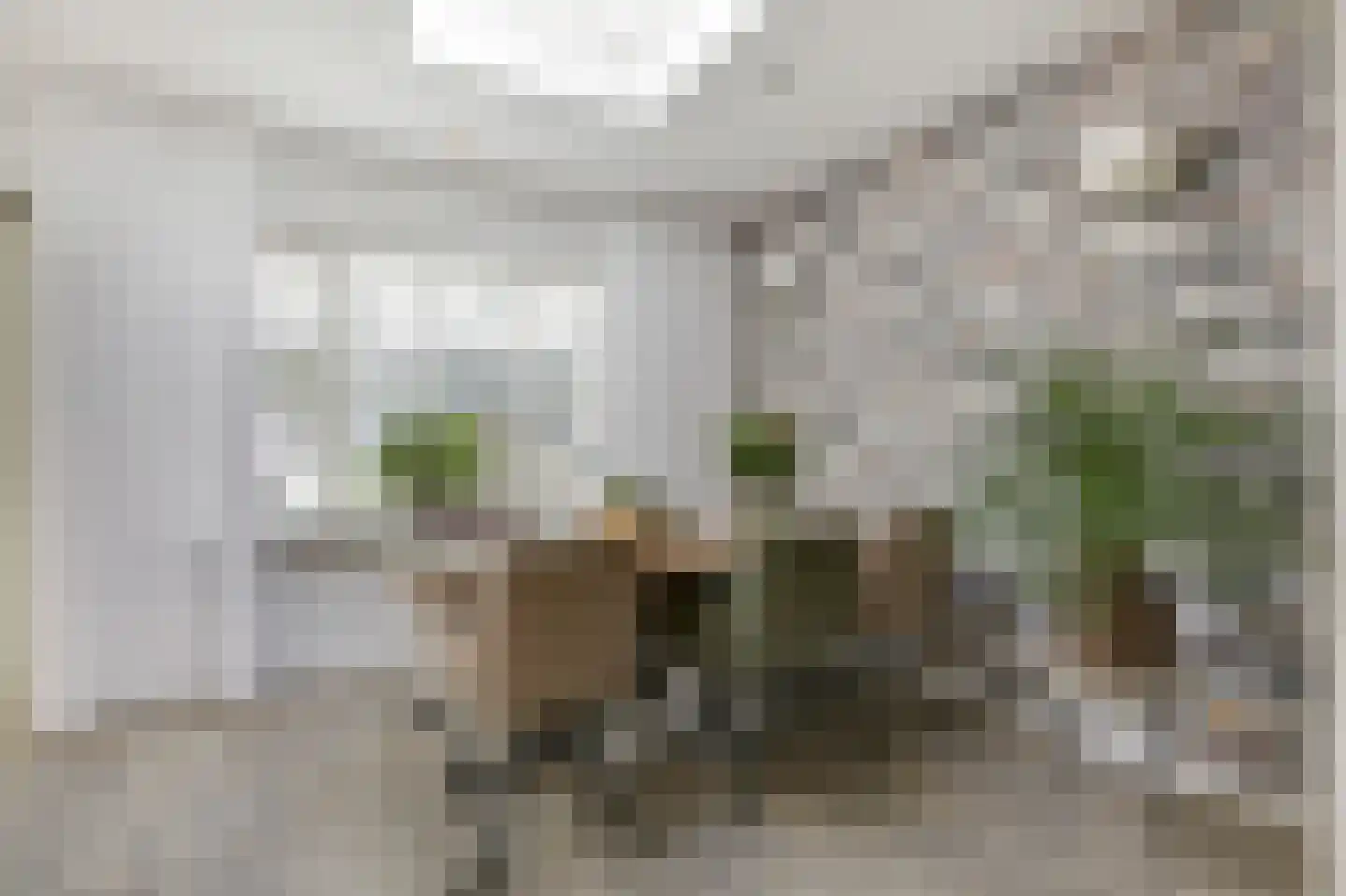 Kaeltjes Hofstee 27 Westervoort thumbnail 21