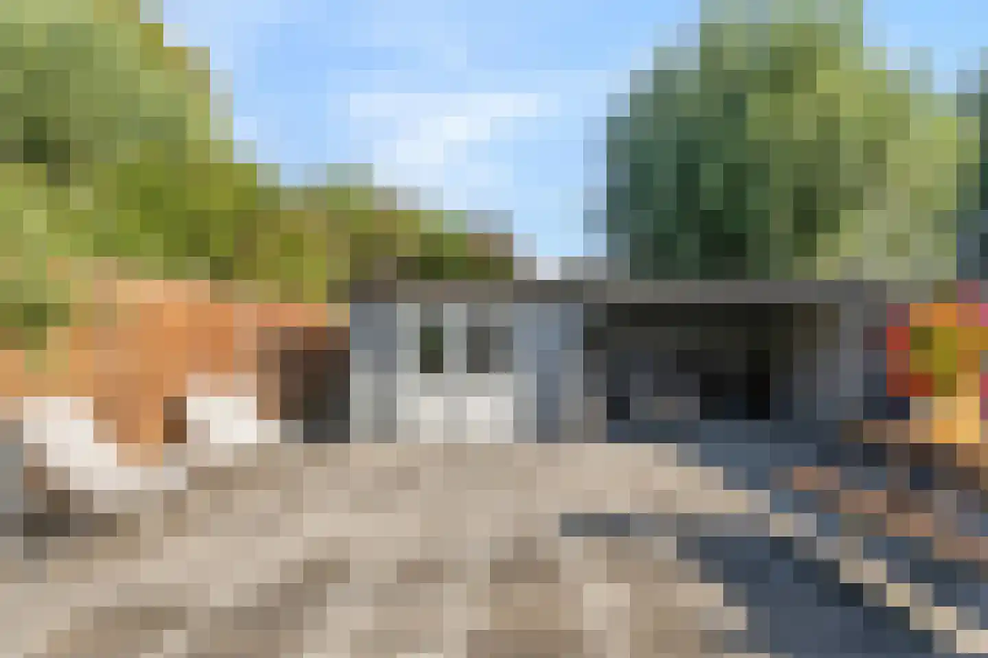 Kaeltjes Hofstee 27 Westervoort thumbnail 57