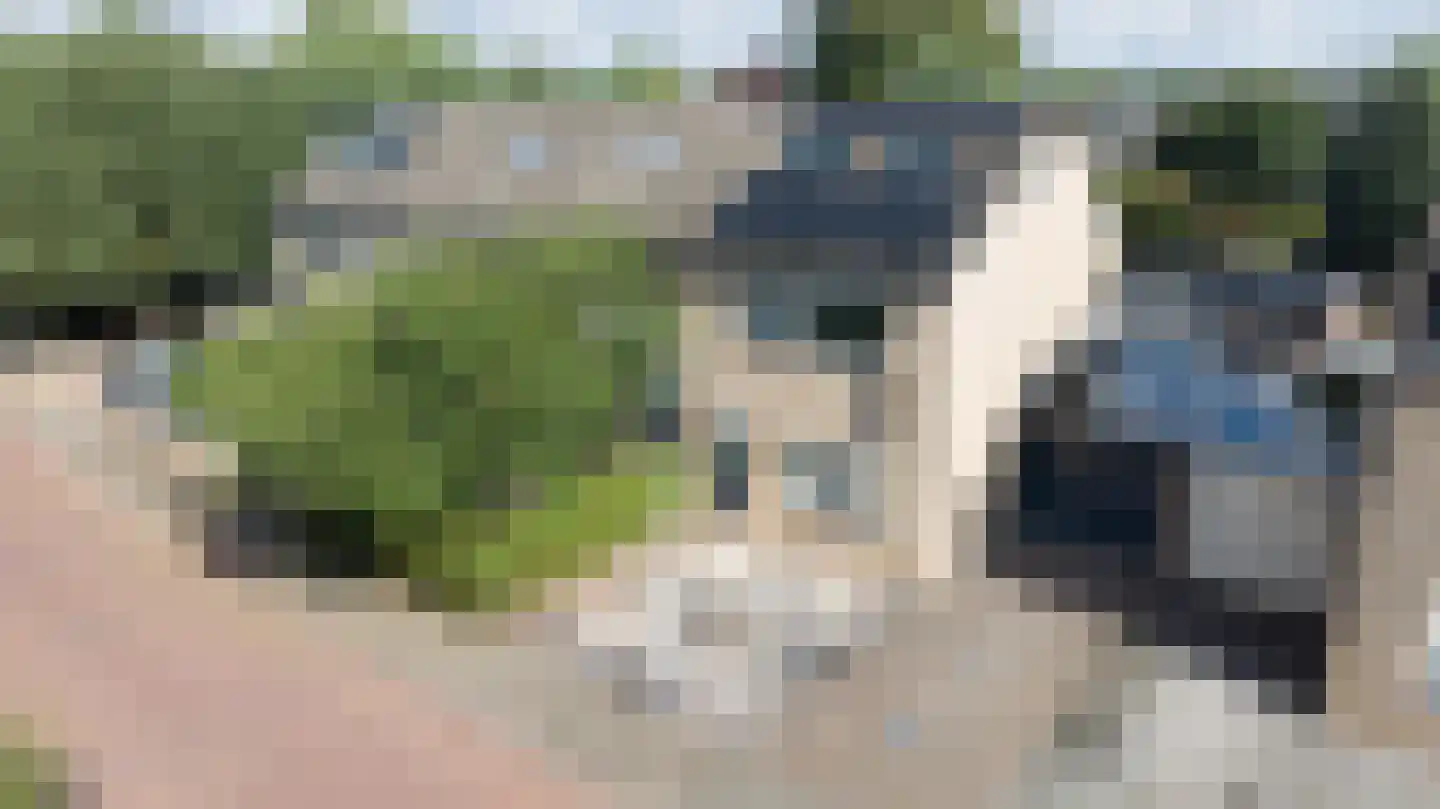 Kaeltjes Hofstee 27 Westervoort thumbnail 7
