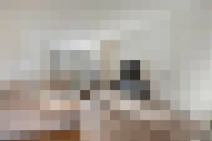 Kaeltjes Hofstee 31 Westervoort thumbnail 13