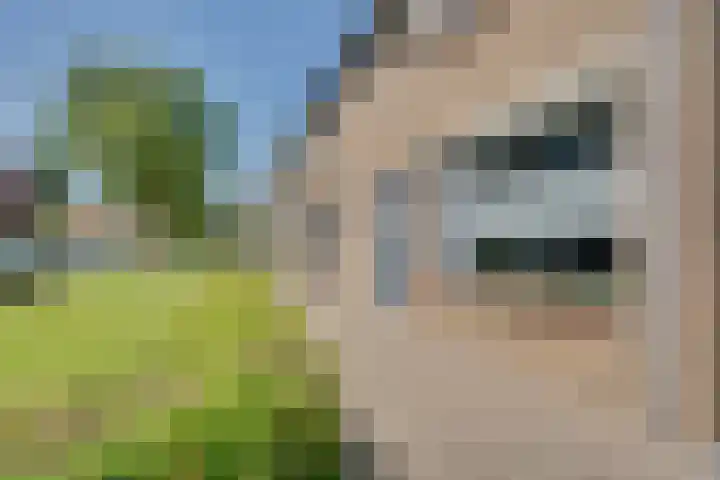 Kaersemakerstraat 15 Zierikzee thumbnail 5