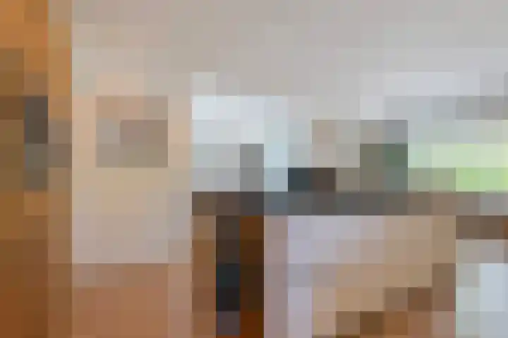 Kaetsjemuoi-wei 1 Mûnein thumbnail 13